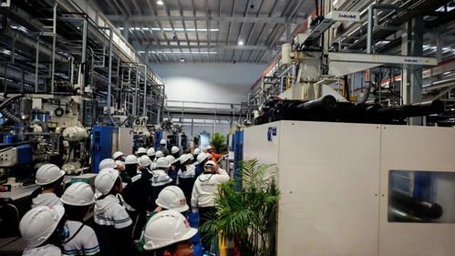 秋假启航，长虹双创园打造工业科技研学新标杆 信息技术的深度开发之旅