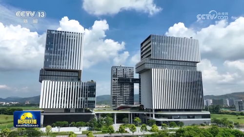 深圳“六个90%”背后 信息技术创新驱动新质生产力加速形成